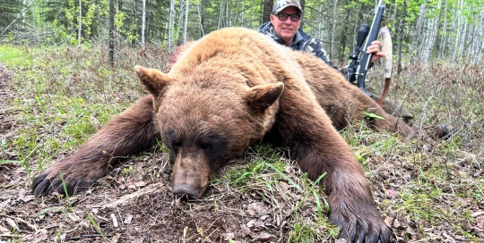 northernedgeoutfitting.bear-2024(01)