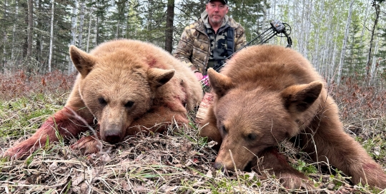 northernedgeoutfitting.bear-2024(11)