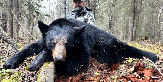 northernedgeoutfitting.bear-2024(12)