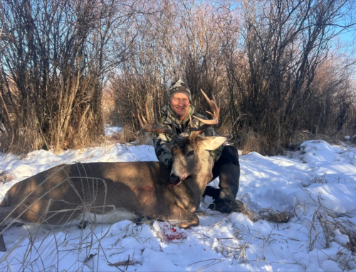 Whitetail