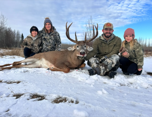 Whitetail