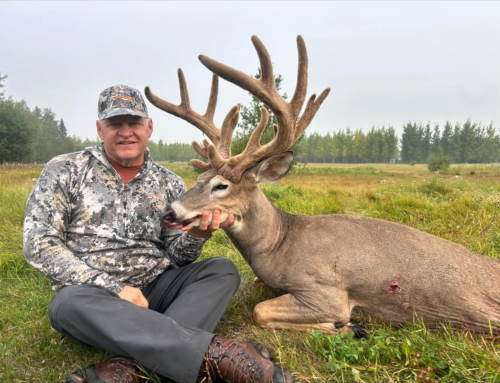 Whitetail