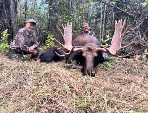 Moose