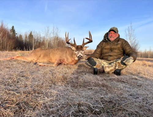 Whitetail